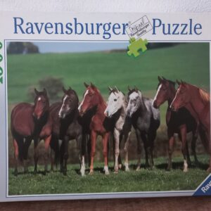 Ravensburger - Arab Horses