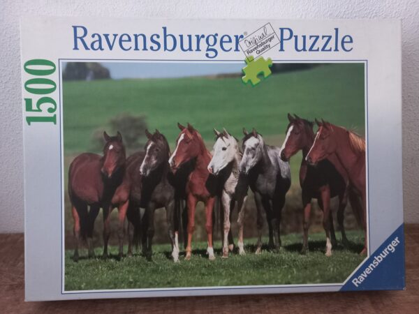 Ravensburger - Arab Horses