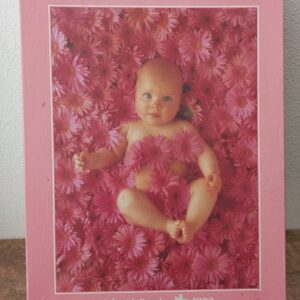 Schmidt - Anne Geddes - Flowerbath