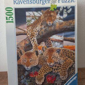 Ravensburger - Family Ties