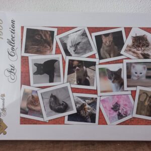 Grafika - Cats - Nieuw