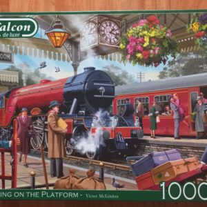 Falcon - Waiting on the Platform