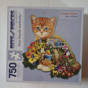 Bits and Pieces - Ginger Kitten