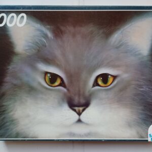 Schmidt - Cat's Eyes