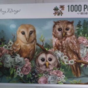 Find - Romantic Owls