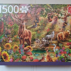 Jumbo - Magic Forest at Sunset
