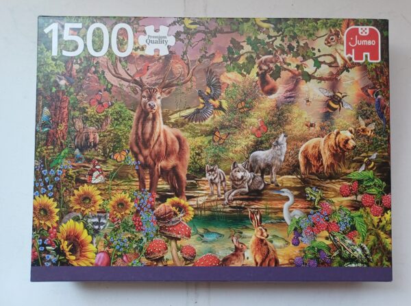 Jumbo - Magic Forest at Sunset