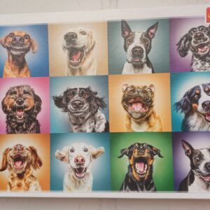 Trefl - Funny Dog Portraits