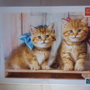 Trefl - Little kittens