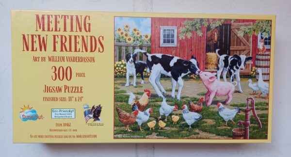 SunsOut - Meeting New Friends 