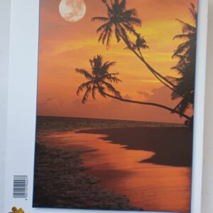 Clementoni - Tropical Sea