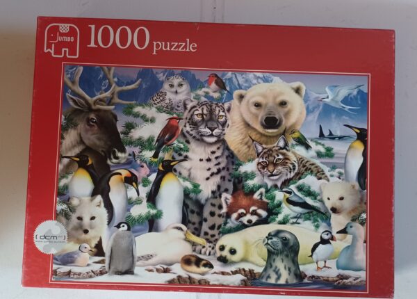 Jumbo - Animals in the Snow