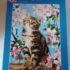 Jumbo - Cat in Blossom