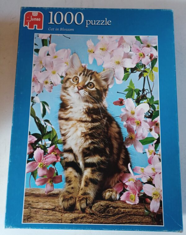 Jumbo - Cat in Blossom