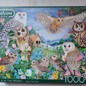 Falcon - Owls in the Wood