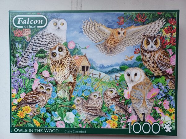 Falcon - Owls in the Wood