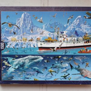 Bluebird Puzzle - Bluebird Boat