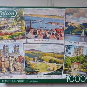 Falcon - The Beutiful North