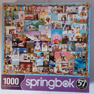 Springbok - Animal Quackers