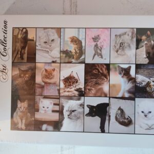 Grafika - Collage - Cats - NIEUW