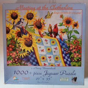 SunsOut - Meeting at the Clothesline