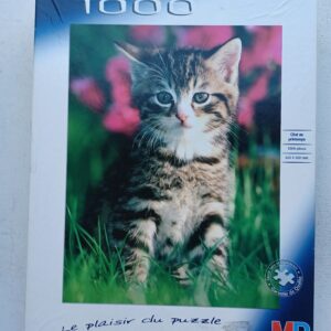 MB - Mooie kat in het gras