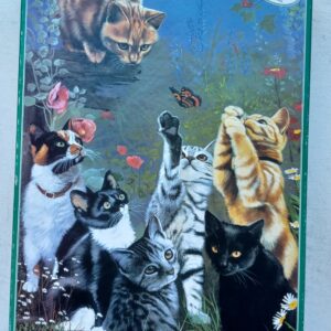 Otter House - Cats in the Garden