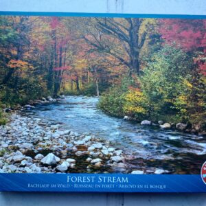 Eurographics - Forest Stream