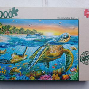 Jumbo - Underwater Turtles
