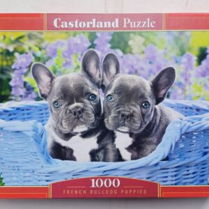 Castorland - French Bulldog Puppies - NIEUW