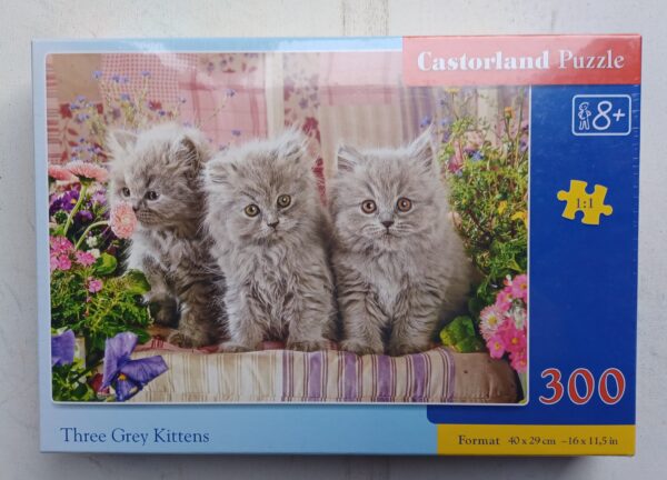 Castorland - Three Grey Kittens - NIEUW