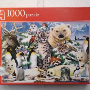 Jumbo - Animals in the Snow