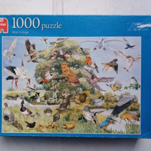 Jumbo - Bird Collage