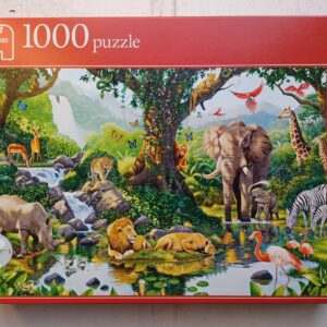 Jumbo - Oasis in the Jungle