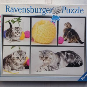 Ravensburger - Britse Korthaar Katjes