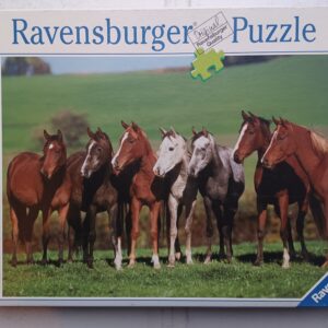 Ravensburger - Arab Horses