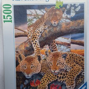 Ravensburger - Family Ties