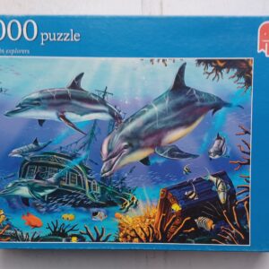 Jumbo - Dolphin Explorers