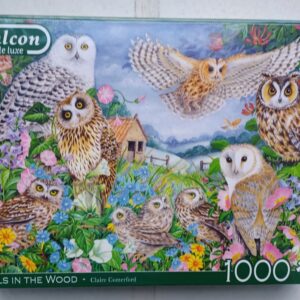 Falcon - Owls in the Wood - NIEUW