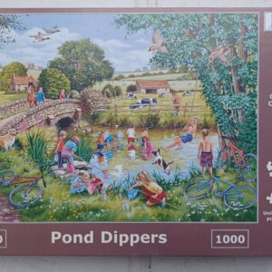 House of Puzzles - Pond Dippers
