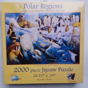 SunsOut - Polar Regions - NIEUW