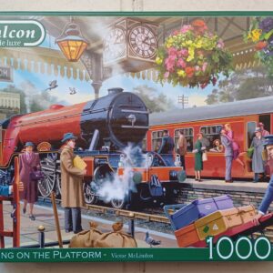 Falcon - Waiting on the Platform