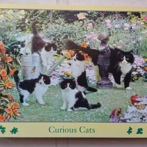 Hop - Curious Cats