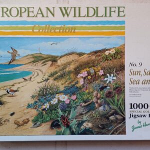 Jigsaw Puzzle - James Hamilton - Sun-Sand-Sea and Sky - no.9