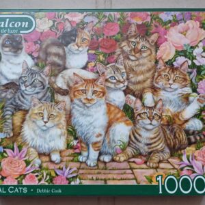 Falcon - Floral Cats