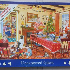 Hop - Unexpected Guest