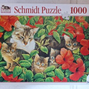 Schmidt - Kattenfamilie