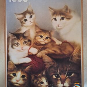 Schmidt - Cats