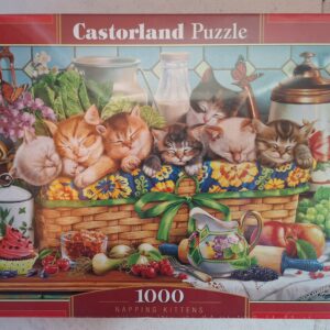 Castorland - Napping Kittens - NIEUW