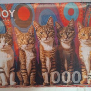 Enjoy - Five Cats - NIEUW